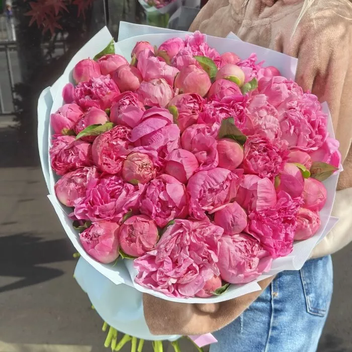 51 пион